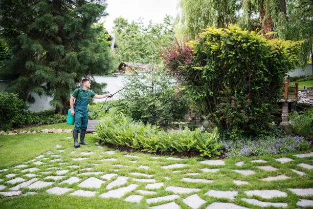 Best Best Pest Control Companies  in Dano, CO