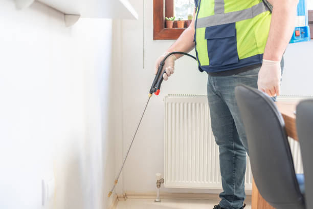 Wasp Removal Services in Dacono, CO